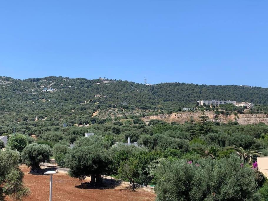 Appartamento Con Vista فاسانو المظهر الخارجي الصورة
